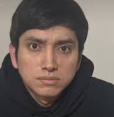 El pulpo