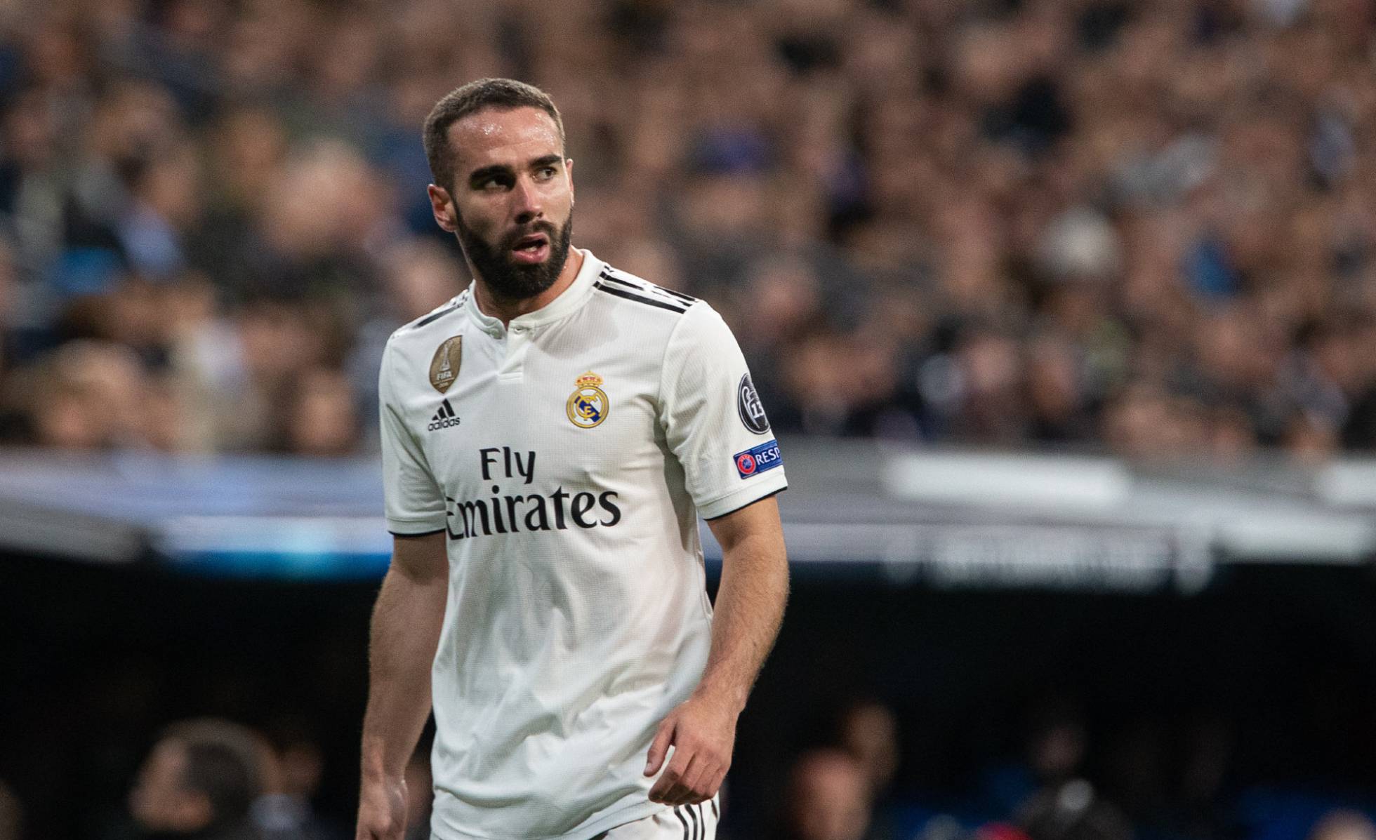 Carvajal y Lucas